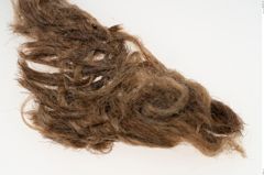 Etikett zu Textil (NHMW-PRAE-114581)